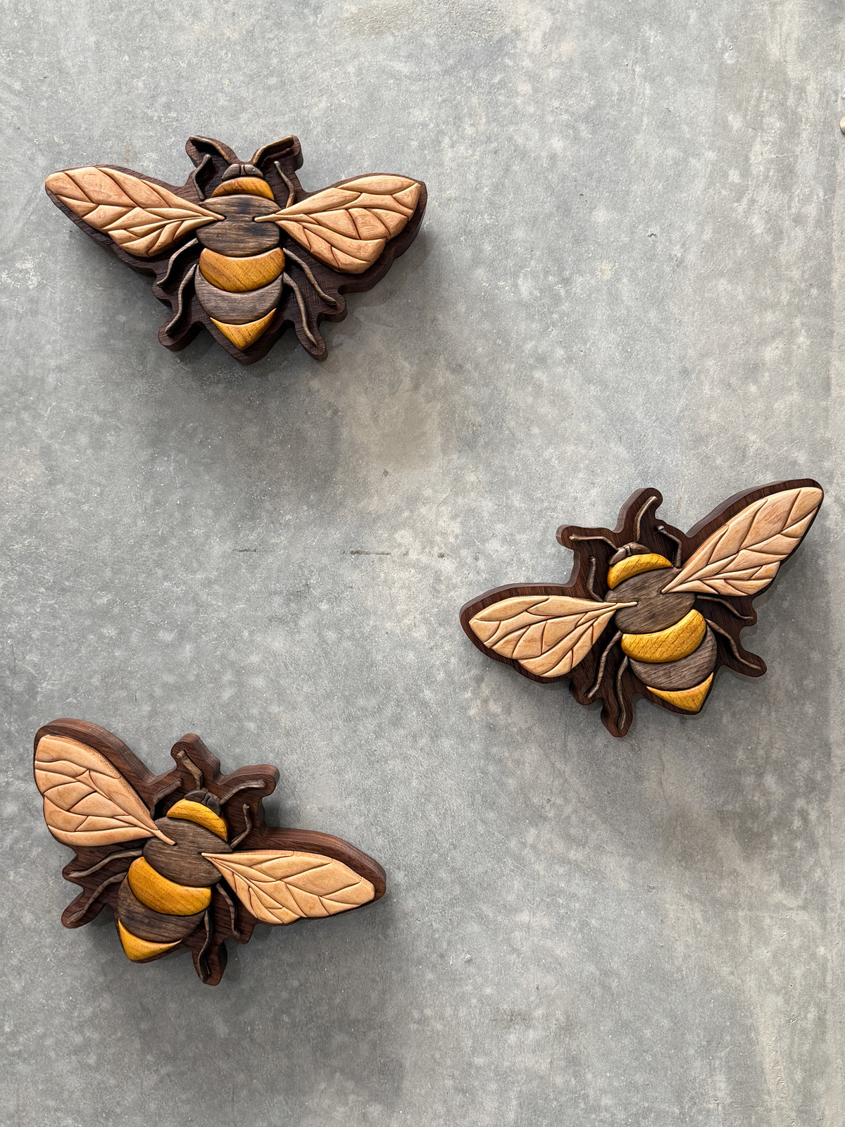 In Good Company - Timber Bee Trio